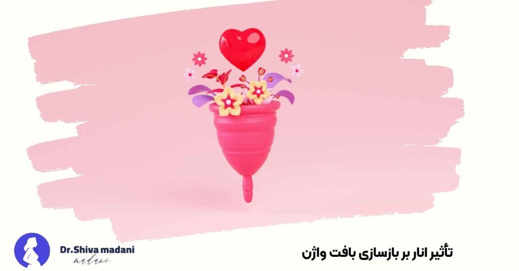 تأثیر انار بر بازسازی بافت واژن