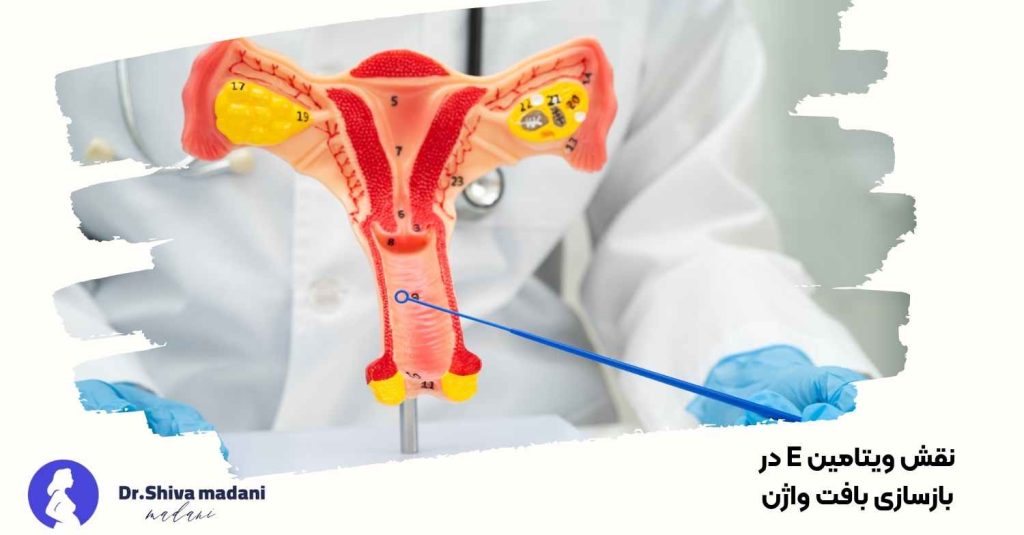 نقش ویتامین E در بازسازی بافت واژن