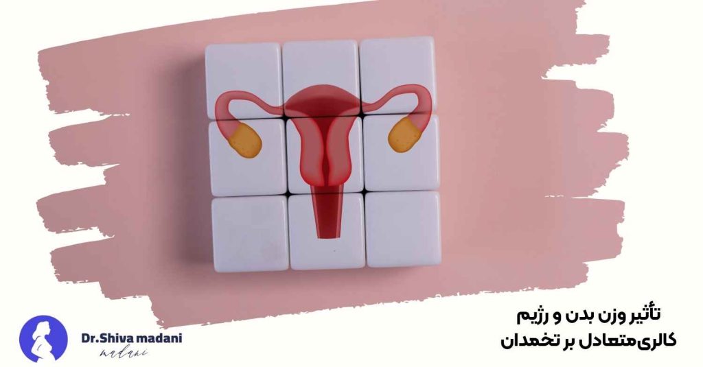 تأثیر وزن بدن و رژیم کالریمتعادل بر تخمدان