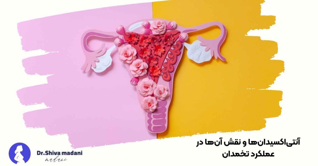 آنتیاکسیدانها و نقش آنها در عملکرد تخمدان